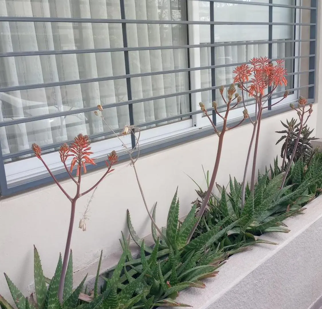 Holiday home Santa Rosa Villa Mendoza