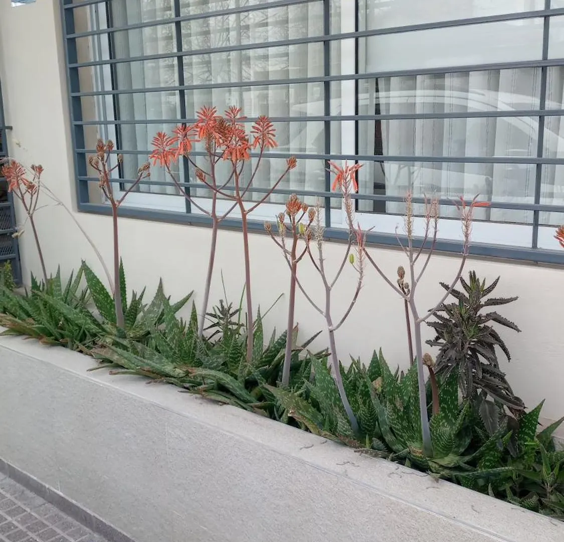 Santa Rosa Villa Mendoza Holiday home